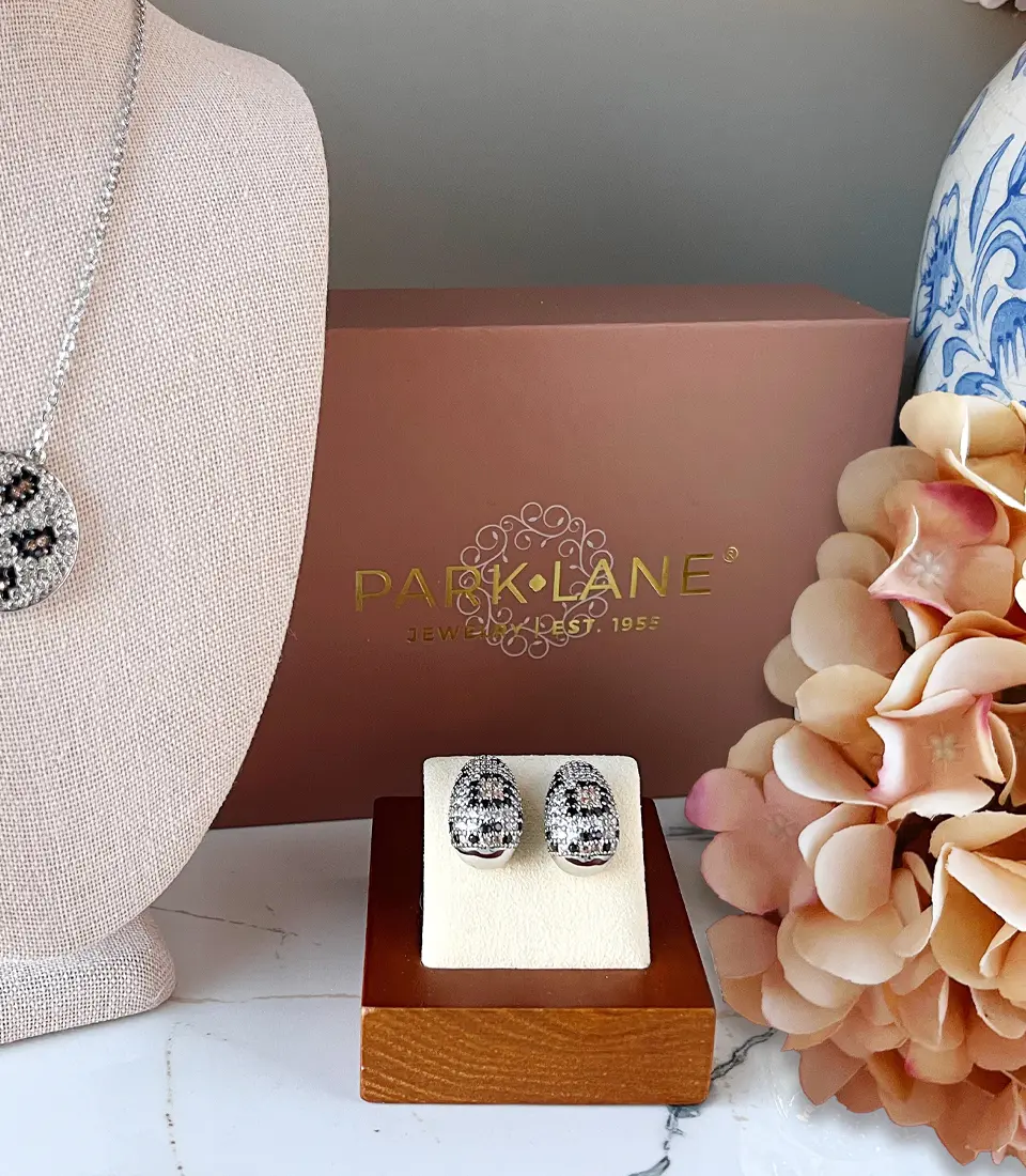 Premium Sparkle box with earrings and a silver necklace